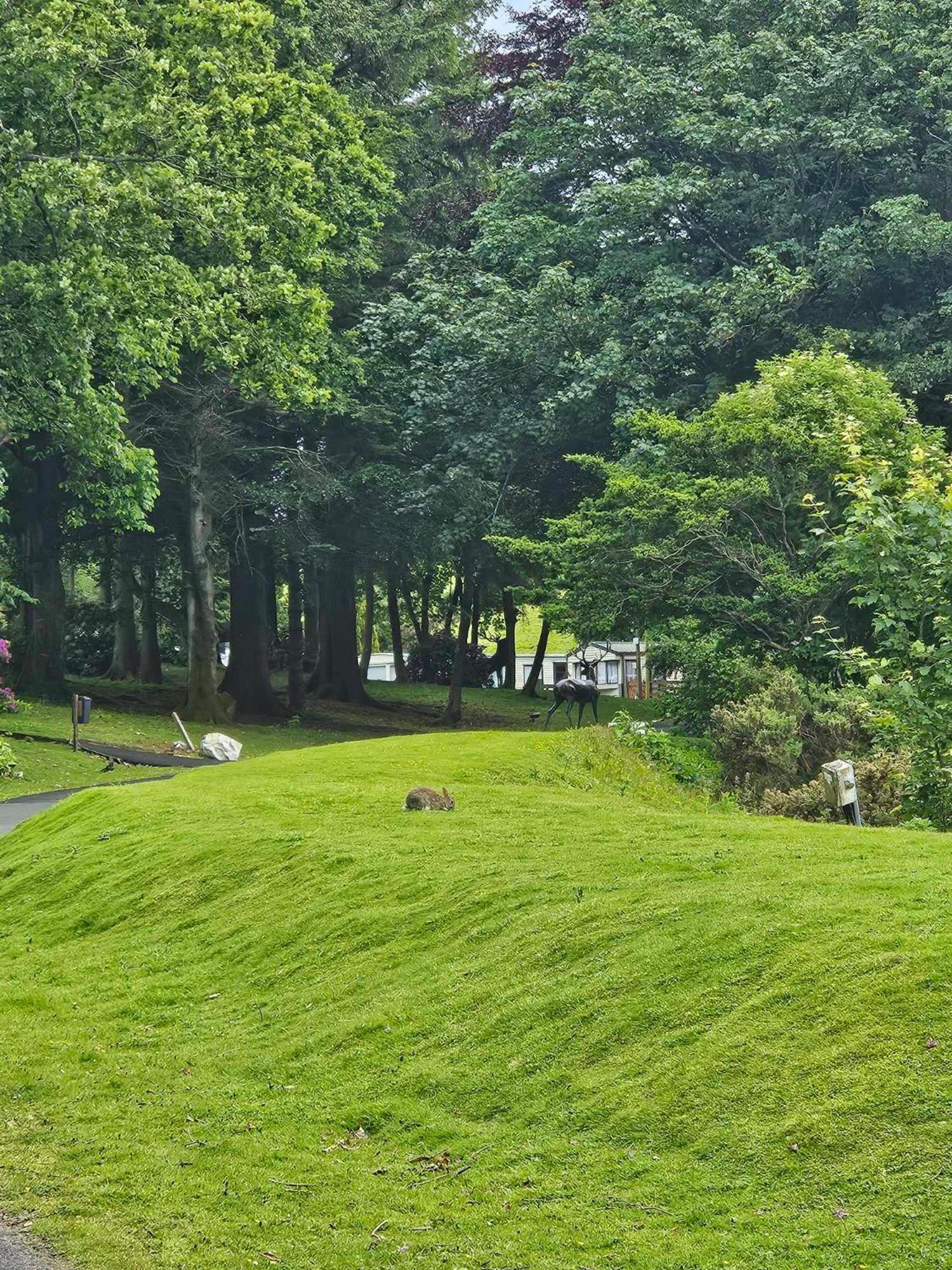 The Sunny Bunny Holiday Home Ballantrae Extérieur photo